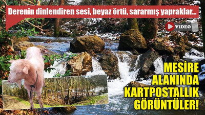 Mesire alanında kartpostallık görüntüler!